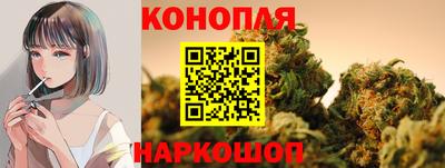 дмт Новокубанск